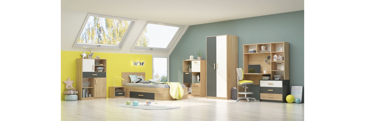 Модулна система Сидни