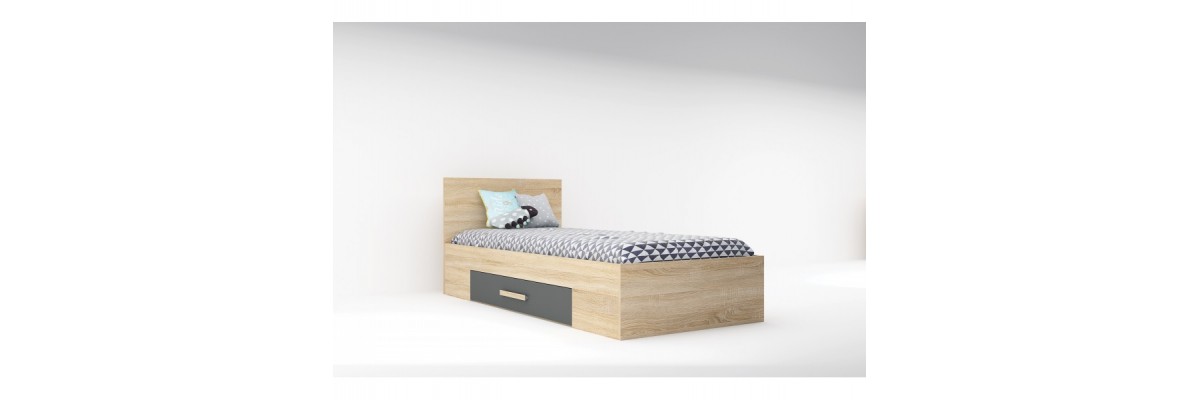 Модулна система Сидни