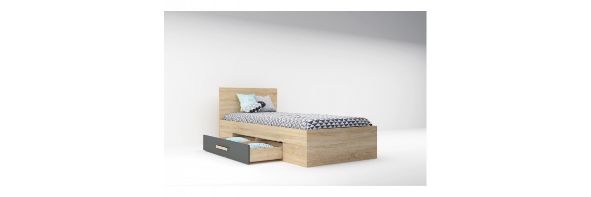 Модулна система Сидни