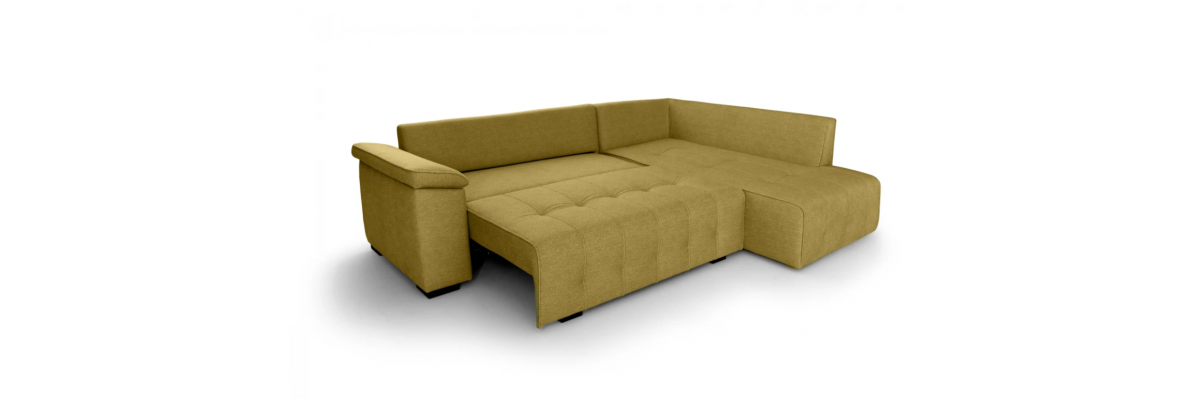 Холов ъгъл Болоня